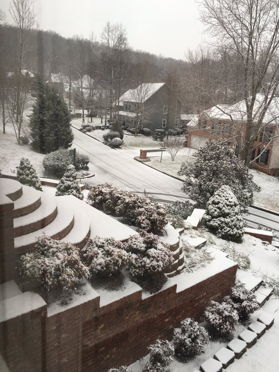 keepinthemagic's tweet photo. #snowbir https://t.co/5Wky3nWaAL