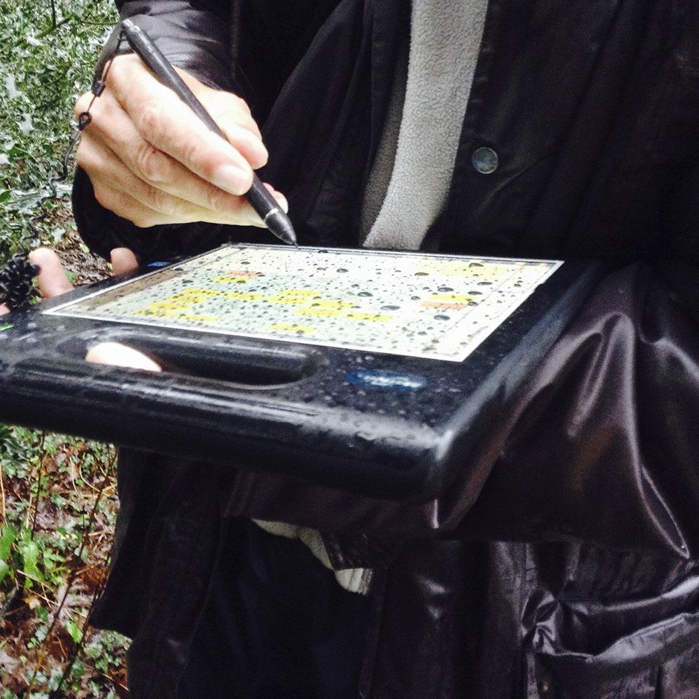 Ecogeographers's tweet photo. Mapping flora in #CrenverGrove with botanist #ColinFrench. We are adding to #Cornish and @sustrust records #tagscape https://t.co/80918BL3TI