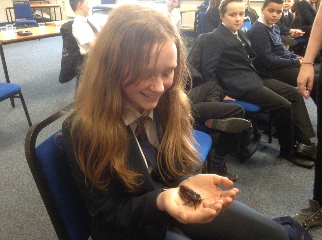 StmarysGEOG's tweet photo. Marvin the Cockroach chilling with Amie @ZooLabUK @jesszoolab @StMarysCHS @SMCHS_KS3 https://t.co/hRx1oXPD8A