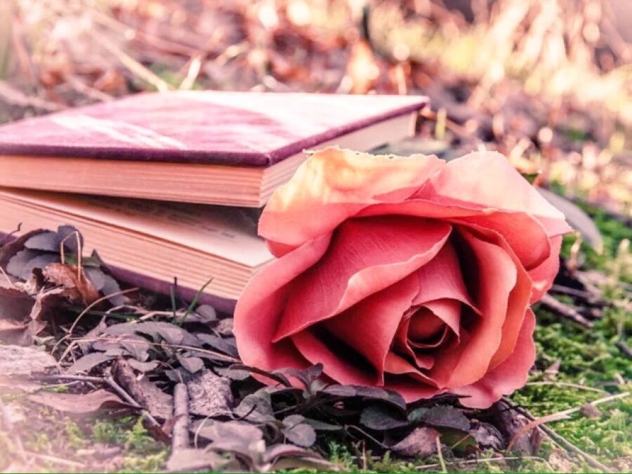 Dont never forget your's lovers.
<a href="/JaeDanzig/">Jae Danzig 🐲</a> 
<a href="/eminebozkurt59/">🇹🇷Türk🇹🇷</a> 
<a href="/aozora_nozomu/">青空 のぞむ ✈️ / Vtuber</a> 
<a href="/sonny00108/">love2020</a> 
<a href="/masudkabir21/">Popcorn✋</a> 
<a href="/tomynon/">tomy</a>