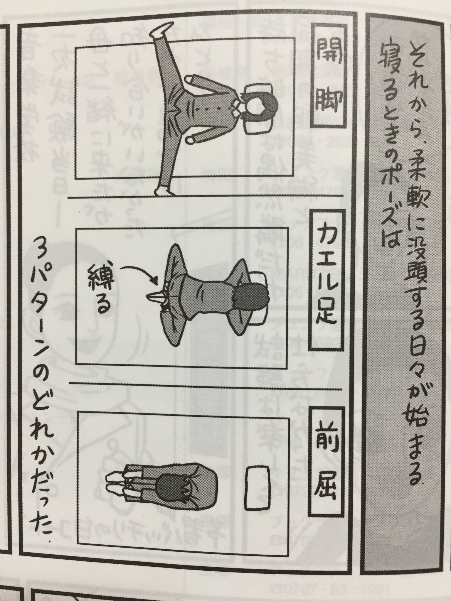 Uzivatel すみれの花 Na Twitteru ちゃぴの波乱爆笑 さすが ちゃぴ 私も見習おう って思って開脚 カエル足までは なんとか形になったけど 前屈って すごいね これでちゃぴは寝れるのか すごい T Co Ceg1pu2p Twitter