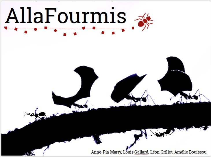 AllaFourmis tweet media