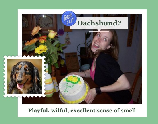 KtShy's tweet image. Accurate. ALL OF IT. #explosivePOWER what-dog.net