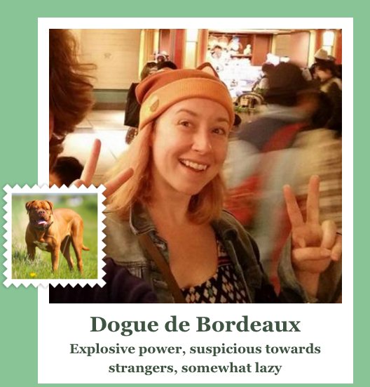 KtShy's tweet image. Accurate. ALL OF IT. #explosivePOWER what-dog.net