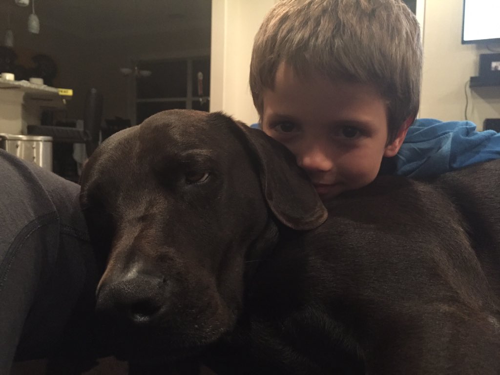 MarionProSki's tweet photo. πΆβ€οΈ#doggielove #labforkids #kidsanddogs https://t.co/fBZcgxPGih