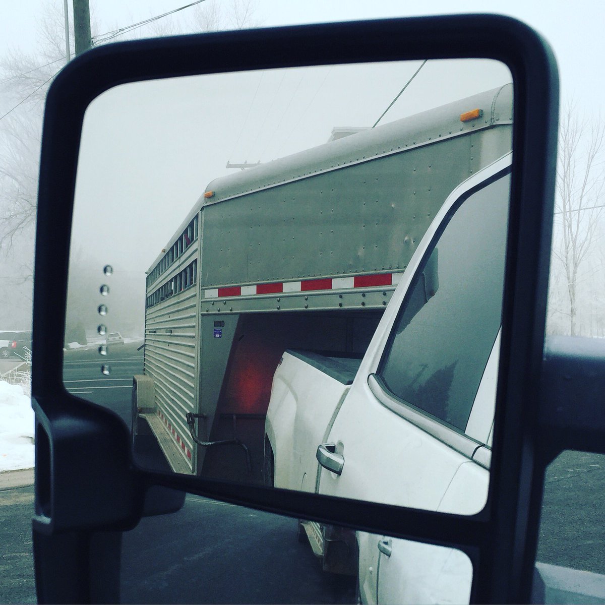 bushmancattle's tweet photo. Leave the smog behind and headed south for the next jackpot! #rmjss #breederscup #jackpot https://t.co/L05OjrydJM