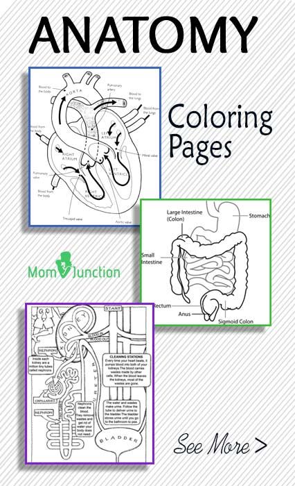 download metal clusters in chemistry