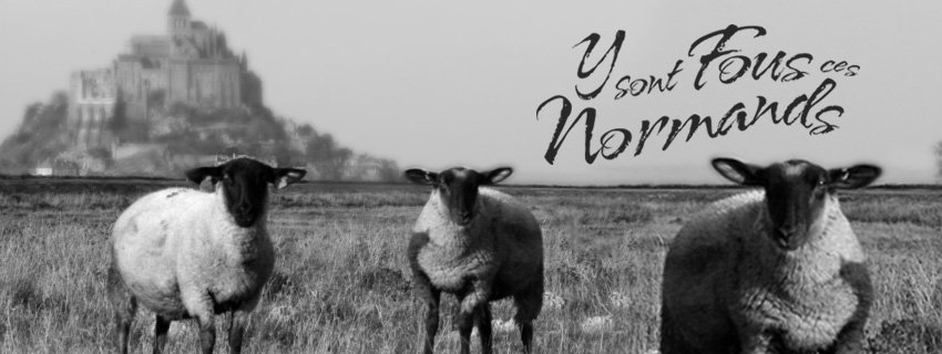 YSFCNORMANDS's tweet photo. #Acidus deviendra-t'il un jour un symbole de la #Normandie comme le #MontSaintMichel
===> https://t.co/ypvkvjfTBE https://t.co/iJIpMSiLlI