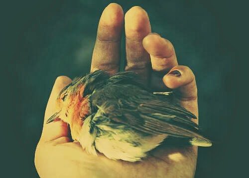 GonulDamlas's tweet photo. Merakını giderecek arkadaşlara değil, Samimiyetini hissettiren…! Duâlarında yer veren dostlara ihtiyacımız var …! https://t.co/ZG0qXr31HZ