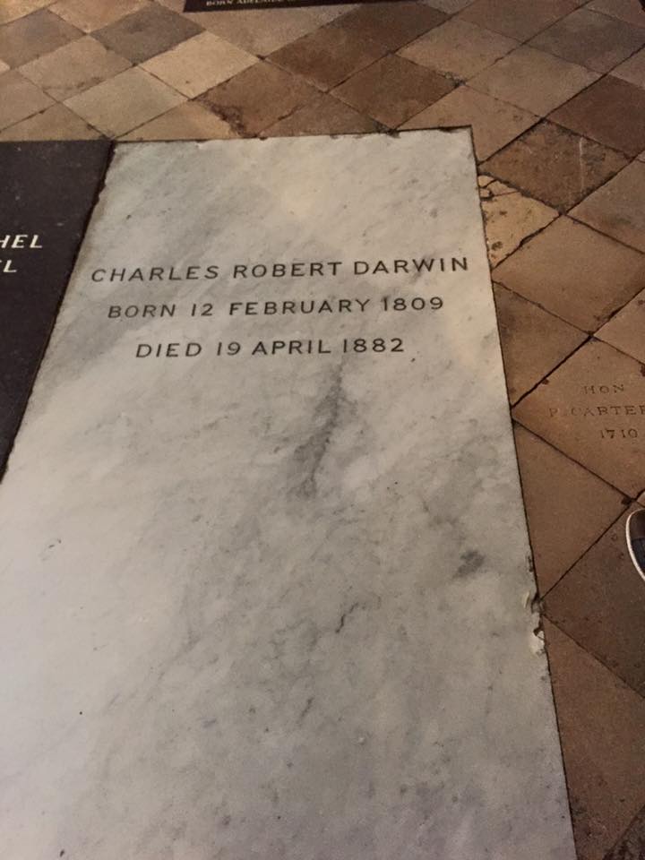 The time I visited Darwin's grave in Westminster Abbey. Thank you for your contributions!
#DarwinDay #collsedu
