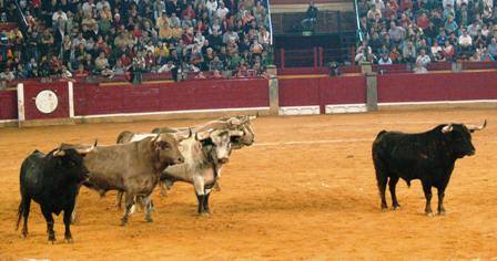 Artículo: Palha

festejospopulares.net/articulos/37_p…

Un saludo.