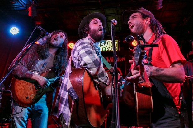 #thomaswesleystern #accidentalseabirds