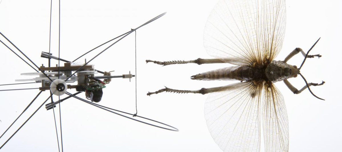 Nature has spent millions of years perfecting its designs. How humans can take advantage: bit.ly/1oa5d9f
