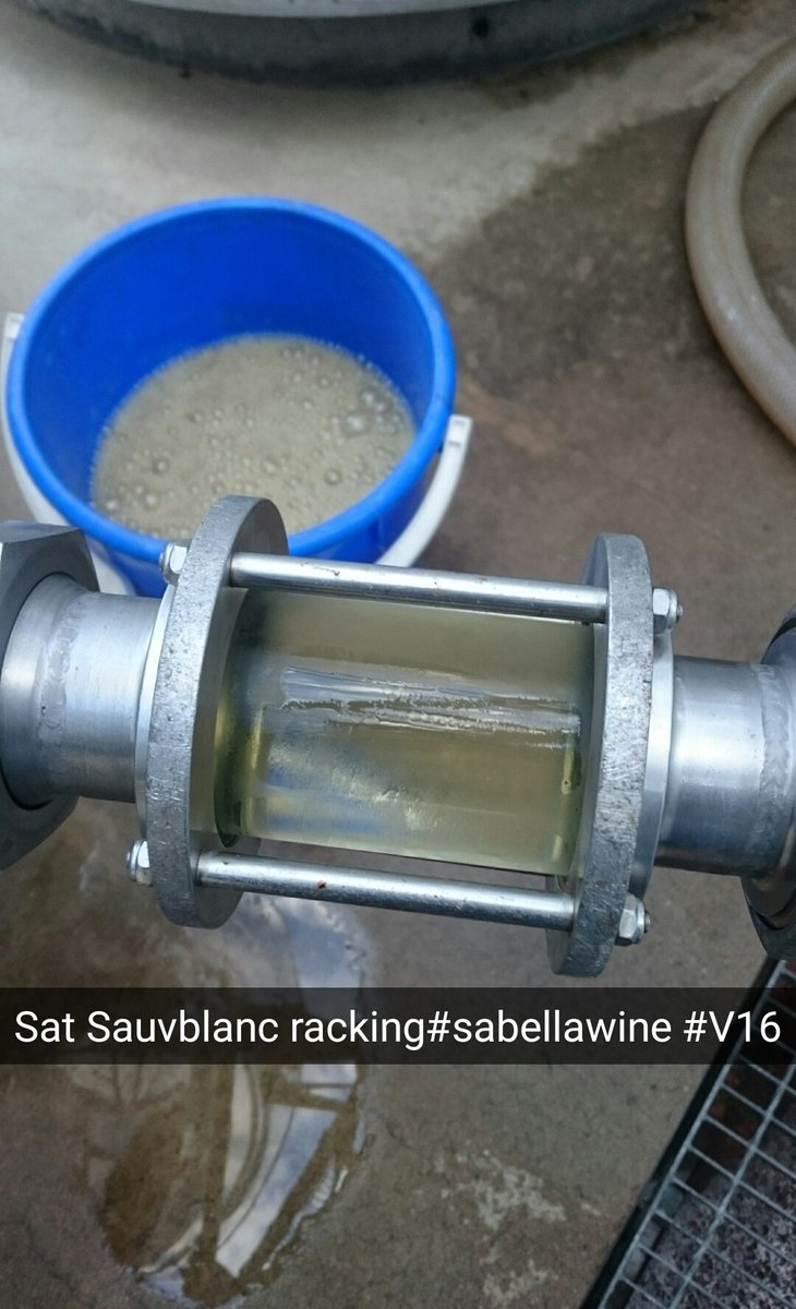 Kiss084's tweet photo. @HaselgroveWines morning sauvblanc rackings #sabellawineman https://t.co/A2ddSp0IM1