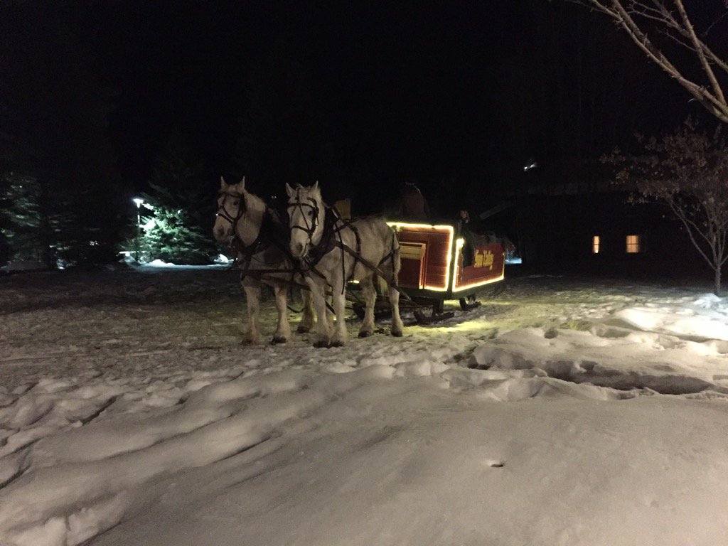 Rebecca Cole On Twitter Horse Drawn Sleigh Stars And Crescent