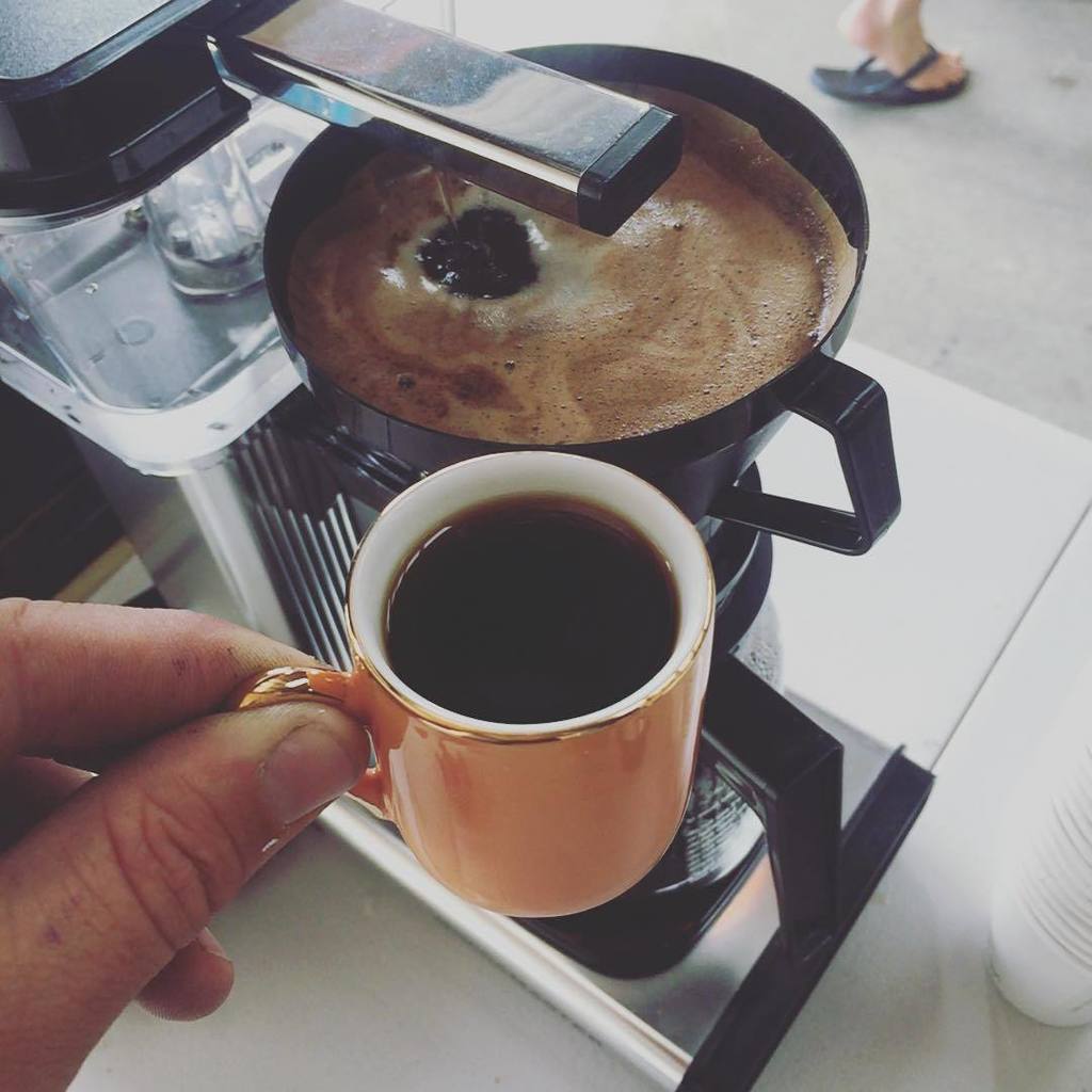 Filter coffee service this morning, gold rimmed.