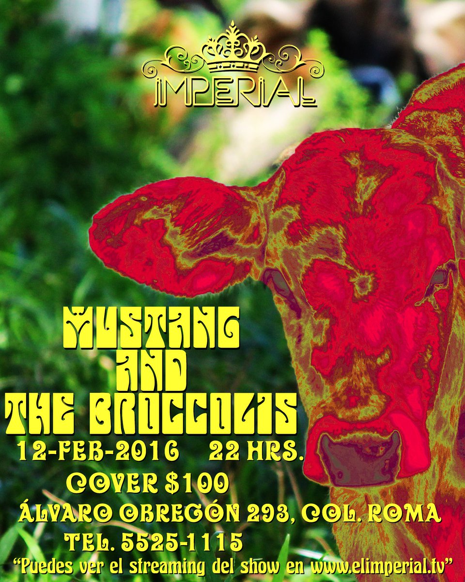 CERO6Agencia's tweet photo. Hoy a @elimperialclub llega  @Mustangrock y #TheBroccolis para echar fiesta y tenemos 2  pases dobles en un rato RT https://t.co/ZxK8bYb4gH
