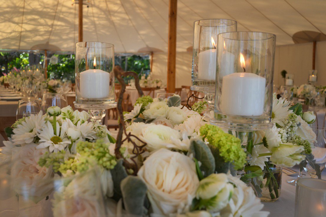 Parrish Designs tweet media