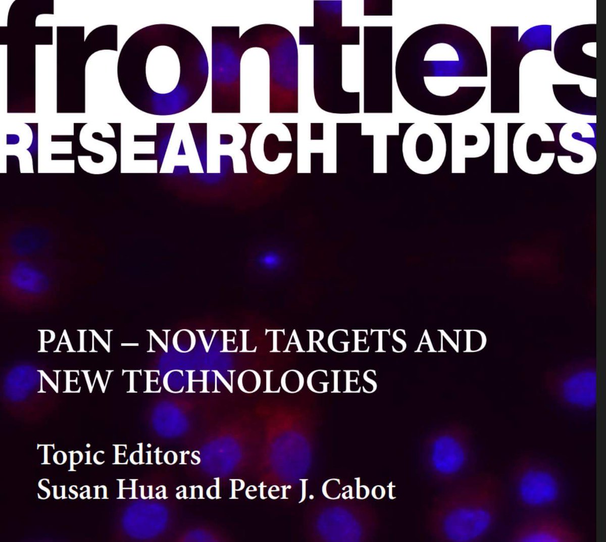 intracellular antibodies development