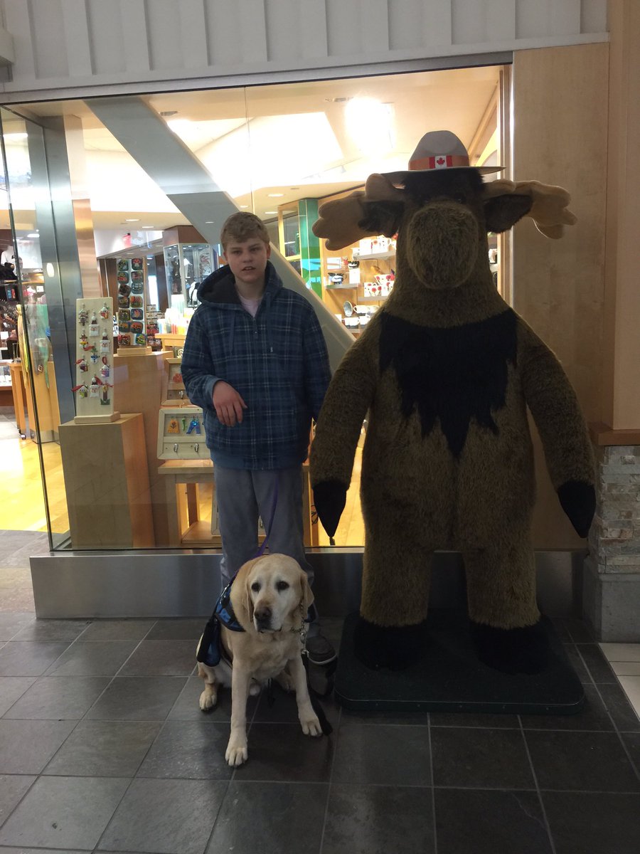 FPSSBASES's tweet photo. Moose https://t.co/ttQWPXwGg9