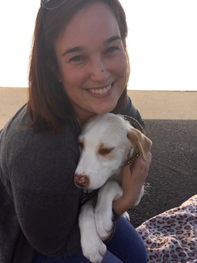 PetSmartChariTs's tweet photo. Congratulations to Alyssa for finding the love of her life at out National Adoption Weekend! #adoptlove https://t.co/GSMfeCs8SJ