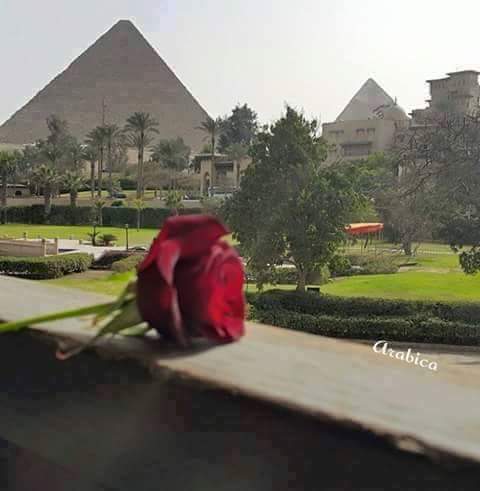 ashraf kodak (@ashrafkooodak) on Twitter photo 