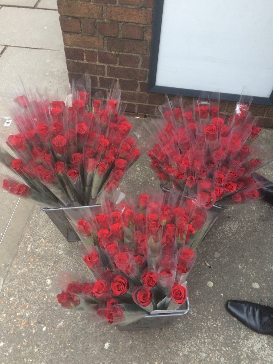 Milestone381's tweet photo. Our wrapped roses which have been hand delivered today. Did you receive one? Please do let us know#valentinesweekend https://t.co/qqQuCTe3QC