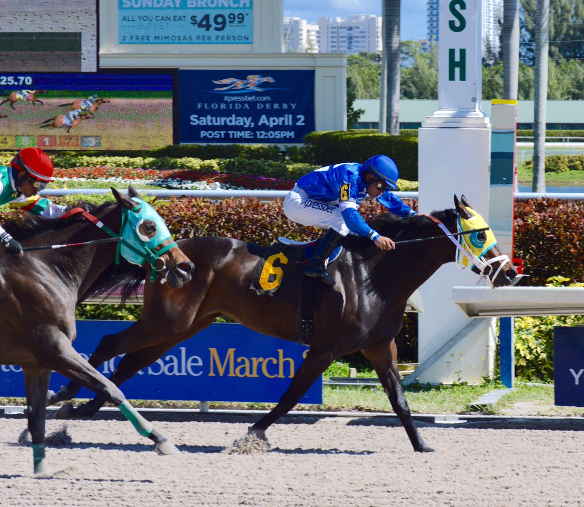 GulfstreamPark's tweet photo. Starship Galaxy holds on to win the opener under Miguel Vasquez, Paul Kopaj was the trainer #ChampionshipMeet https://t.co/93nd5aG1s6