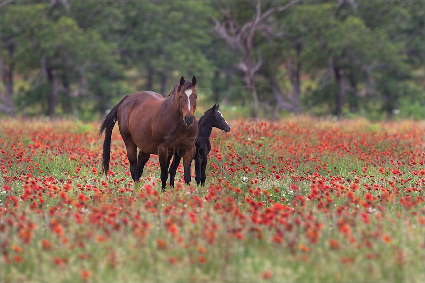 Indian Hill Delivery™
Delivering What You Need When You Need it!
513-888-8692
facebook.com/indianhilldeli…