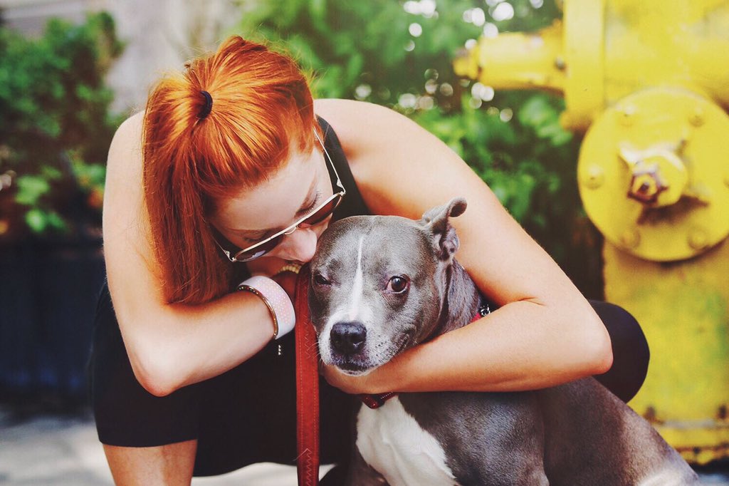 meetelemoon's tweet photo. Take your dog (and Elemoon) on a walk today! #Elemoon tracks steps to help you reach health goals! #dog #tech #love https://t.co/hBgiTZOhYP