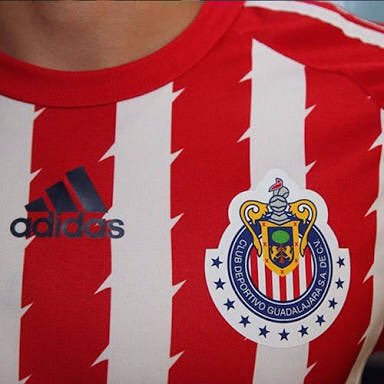 ChivaHermanas's tweet photo. Se podrá manchar de lodo, sudor y sangre pero JAMÁS de vergüenza, @Chivas a levantar que tu afición NO abandona🇦🇹♥️ https://t.co/4nq788tqCa