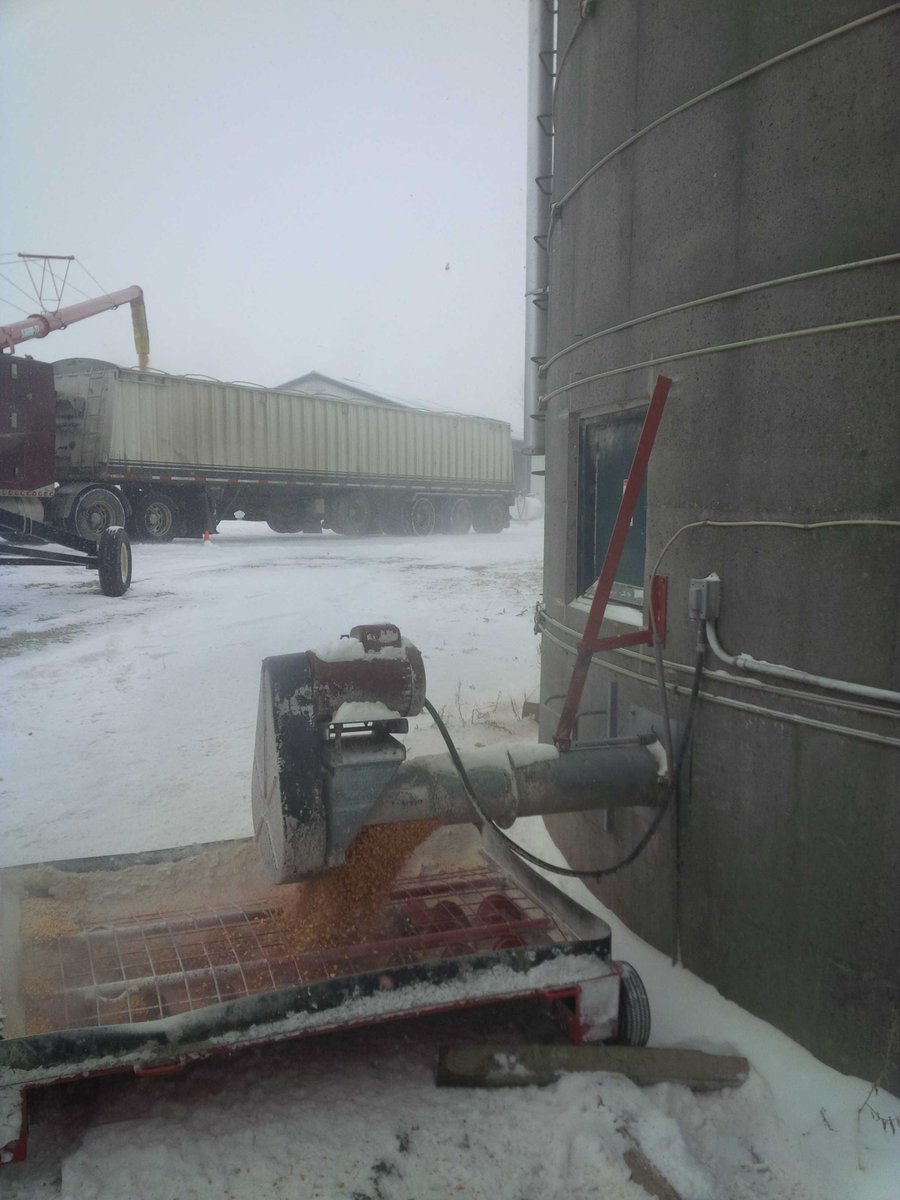 Mark4016's tweet photo. Shipping out some corn on this wonderful winter day https://t.co/WY9CngxURm