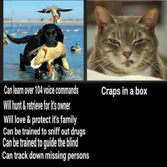 joe hamer tweet media