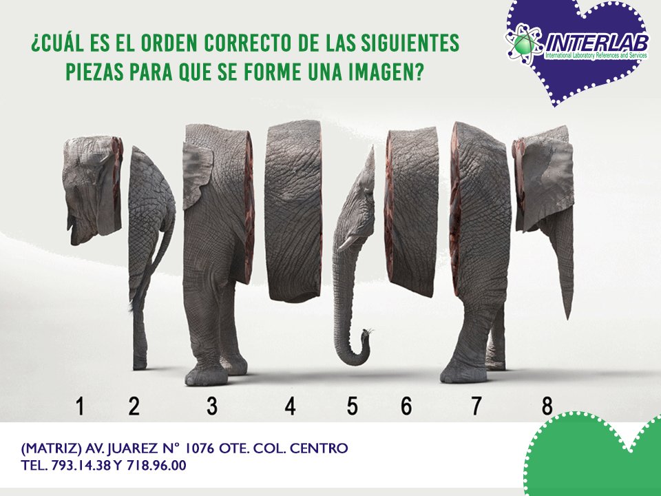 labInterlab's tweet image. ¿Cuál es el orden correcto de las siguientes piezas para que se forme una imagen?