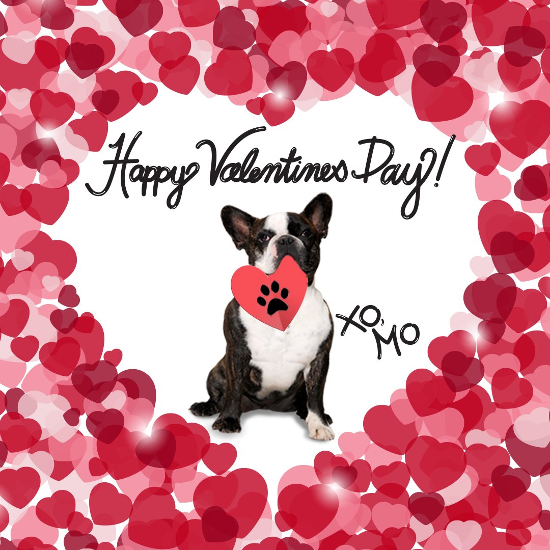 Happy Valentines Day Weekend! This year, eat your 💗 out at Mogl Restaurants! 
mogl.com #valentinesday