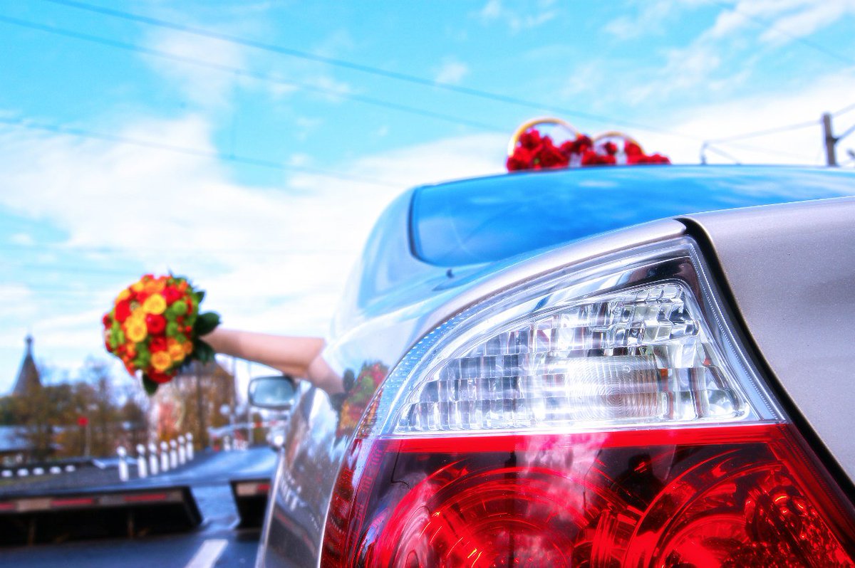 fotografkonosha's tweet photo. Wedding Photographer, #Wedding #Groom and #Bride
#WeddingPhotography #WeddingPhotographer #Konosha #Vologda #Podyuga https://t.co/4HR9fH53AS