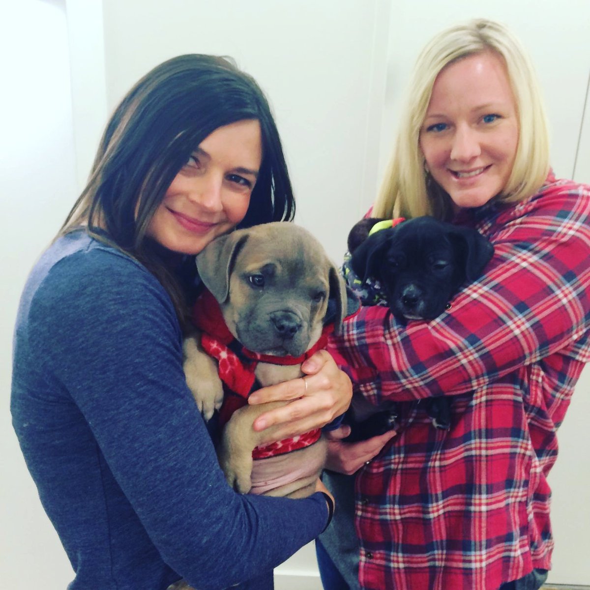 JanellRaeO's tweet photo. Best @PRNewswire work day ever! #uberPuppies #CLE #clevelandapl https://t.co/OK3QJQufIE