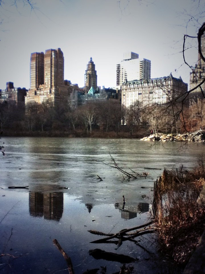 SusanPoGa's tweet photo. CentralPark🌲🌲🍃🍁🌿❄❄❄❄ https://t.co/dZ80sNvvHb