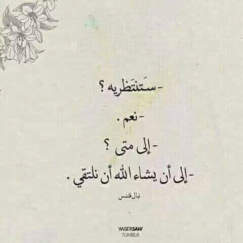 515Reham_'s tweet photo. 😺😺 https://t.co/O9IygXZ5U5
