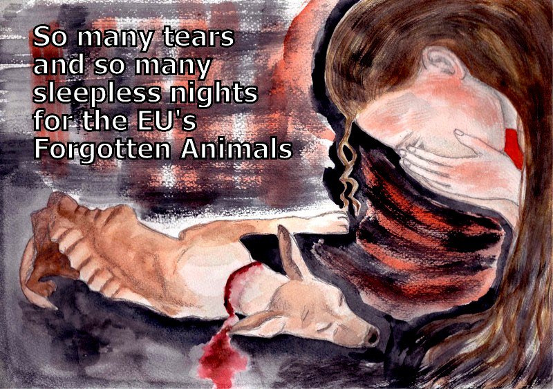 .<a href="/McGuinnessEU/">Mairead McGuinness</a> Millions of EU citizens suffer when witnessing the cruelty towards stray pets and hunting dogs #DiaDelGalgo #Galgos #Podencos