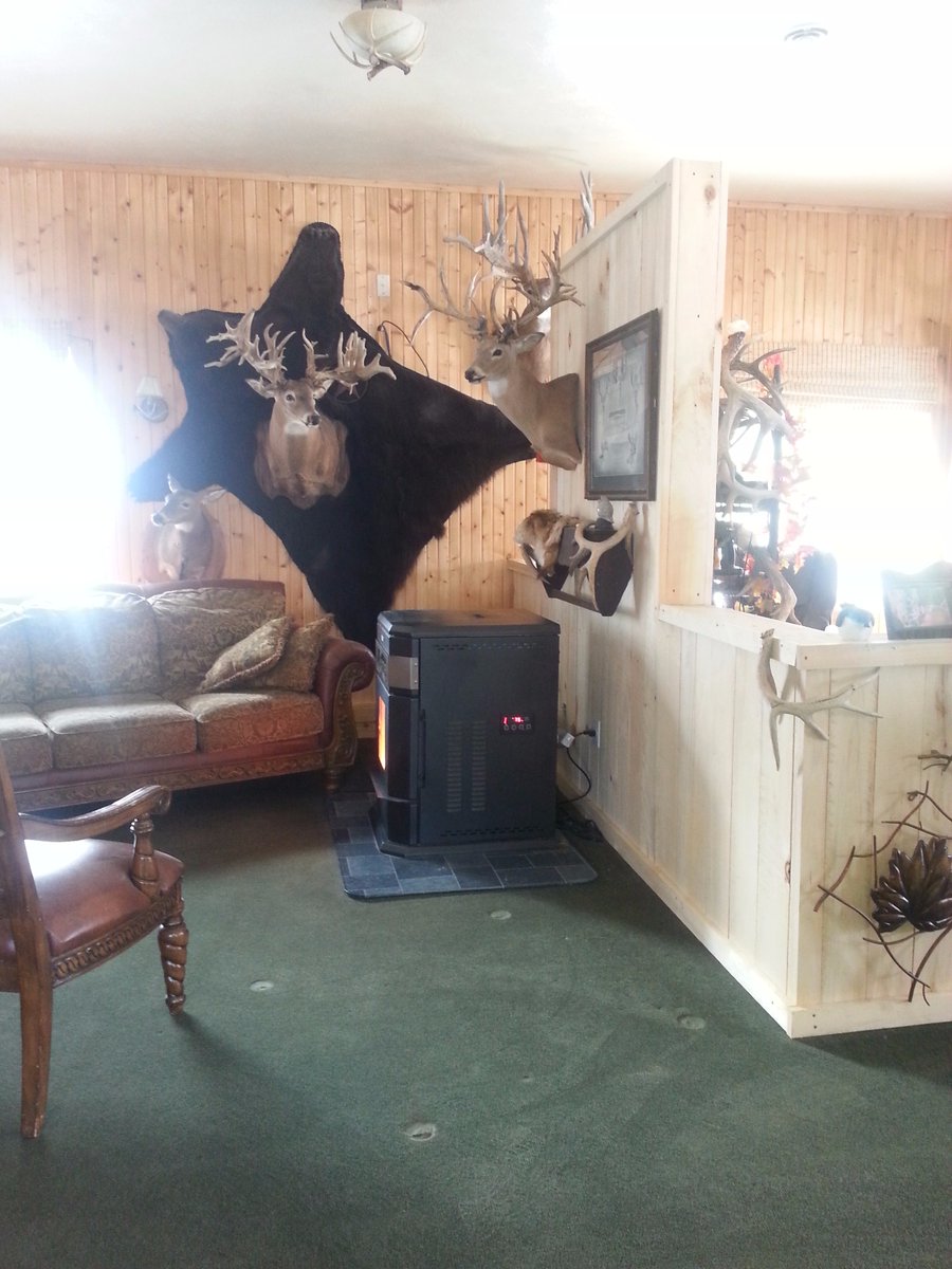 WHWhitetails's tweet image. Empty spot where our antler tree used to be!! :)