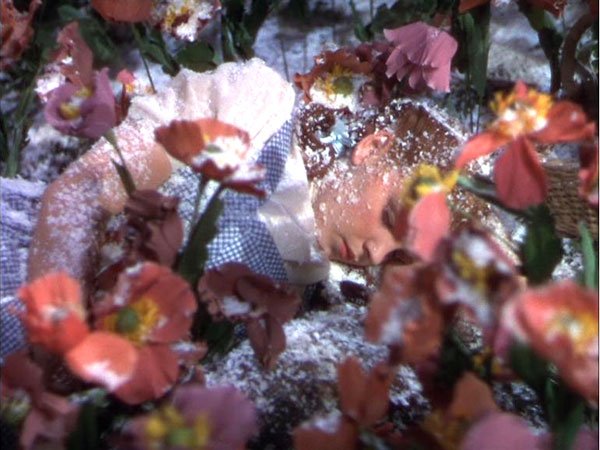 Diply's tweet photo. The "snow" used in The Wizard of Oz was industrial grade chrysotile - aka white asbestos, a dangerous carcinogen. https://t.co/QFQJBaOcIm
