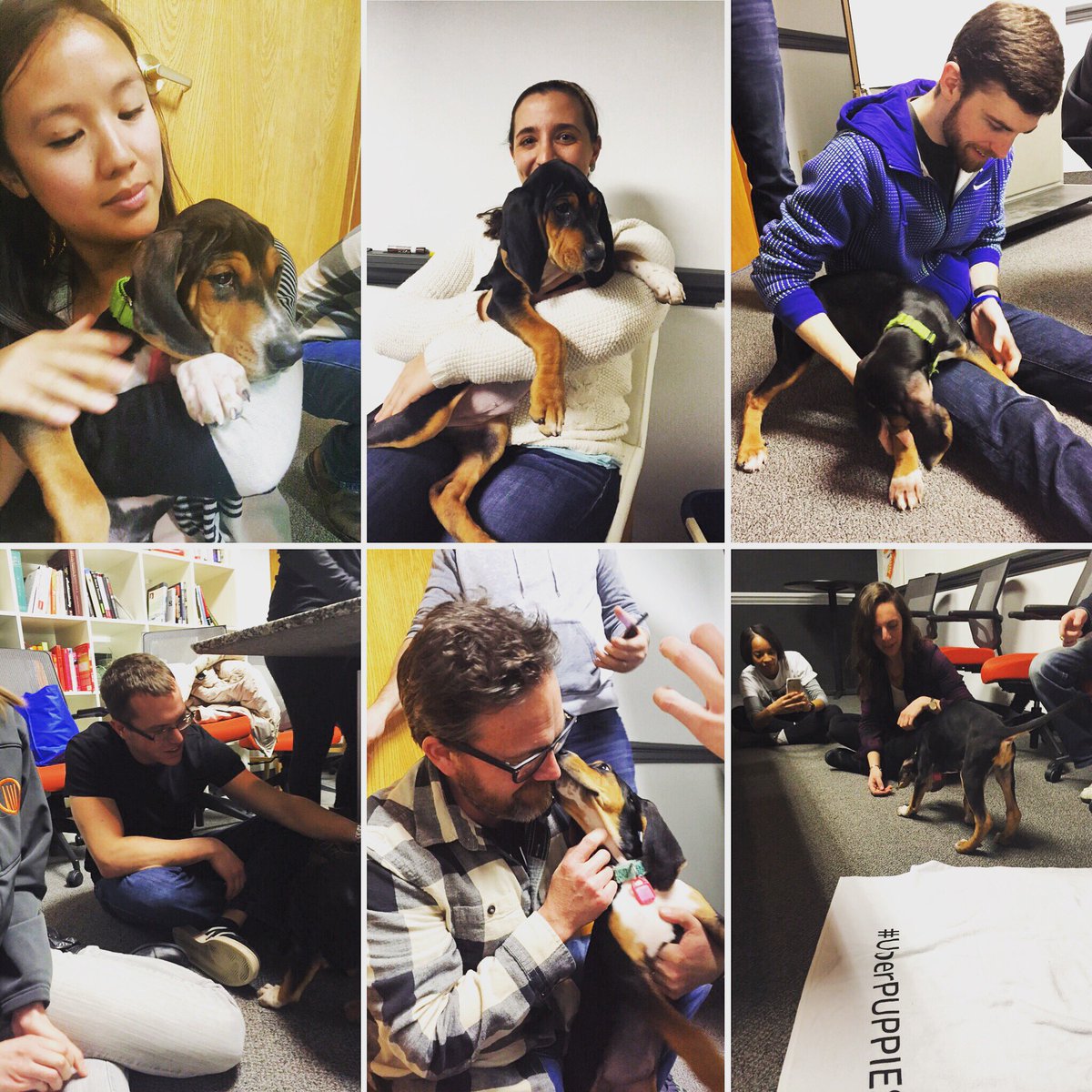 SplickIt's tweet image. Our valentines from @clevelandapl #uberpuppies #uberpuppylove #whyonosysrocks
