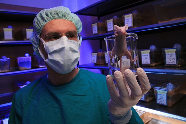 A mouse’s house may ruin experiments: how environmental factors hamper #reproducibility ow.ly/YgDBS