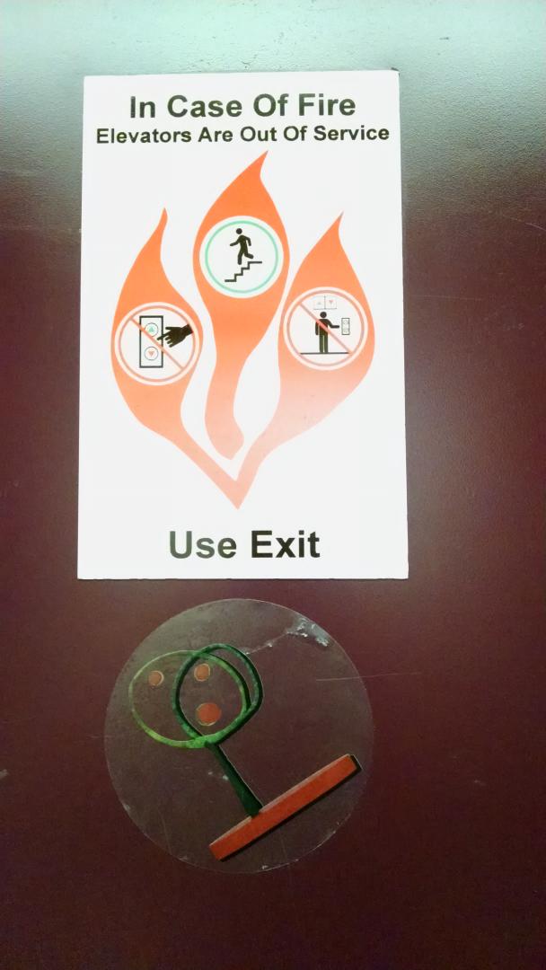 SPAP_UMD's tweet image. Trees are blooming in the elevator of Jiménez! Spring is near! #SpapInterventionUMD #arbolotreeUMD