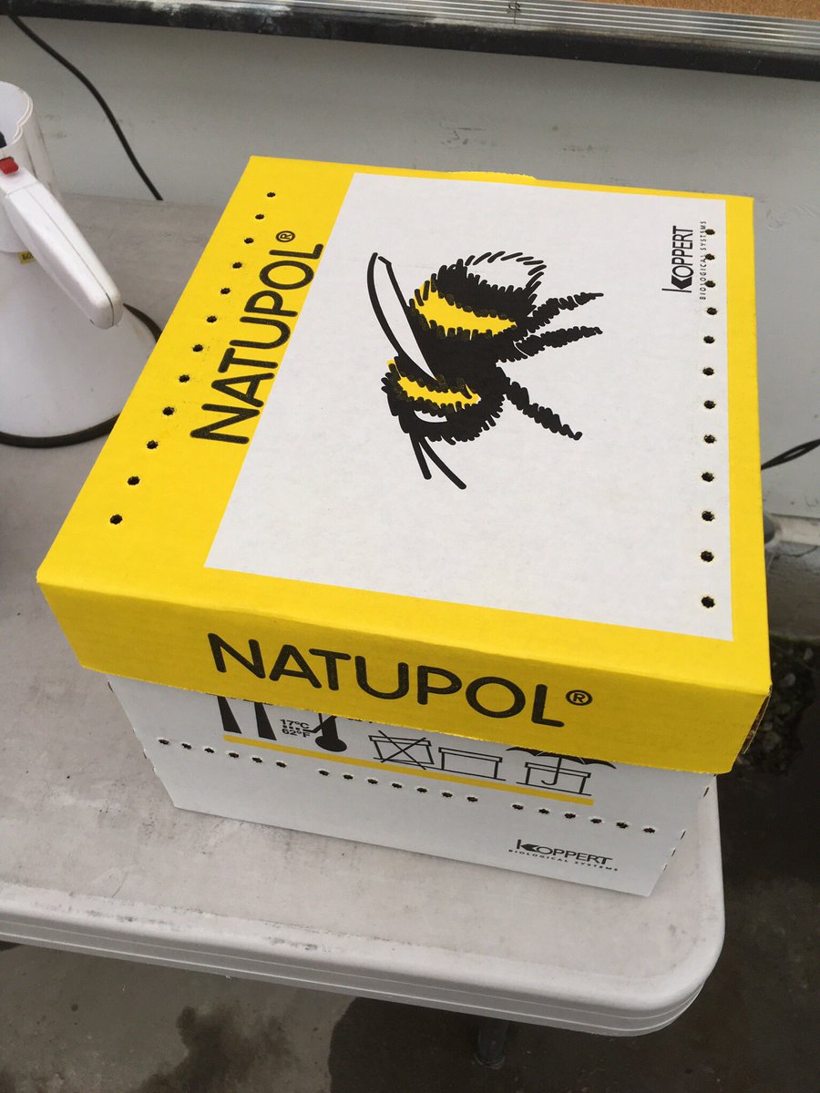 Taves Family Farms Applebarn tweet media