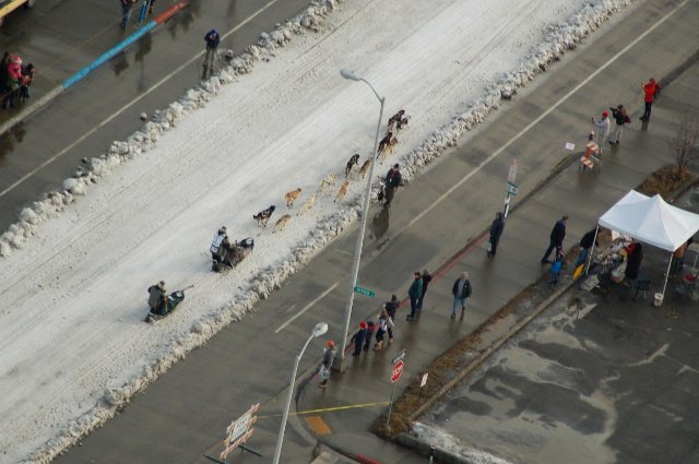 alaskanewsnow's tweet image. Iditarod ceremonial start planned for Anchorage, re-start in Willow dlvr.it/KV5fcn #alaska