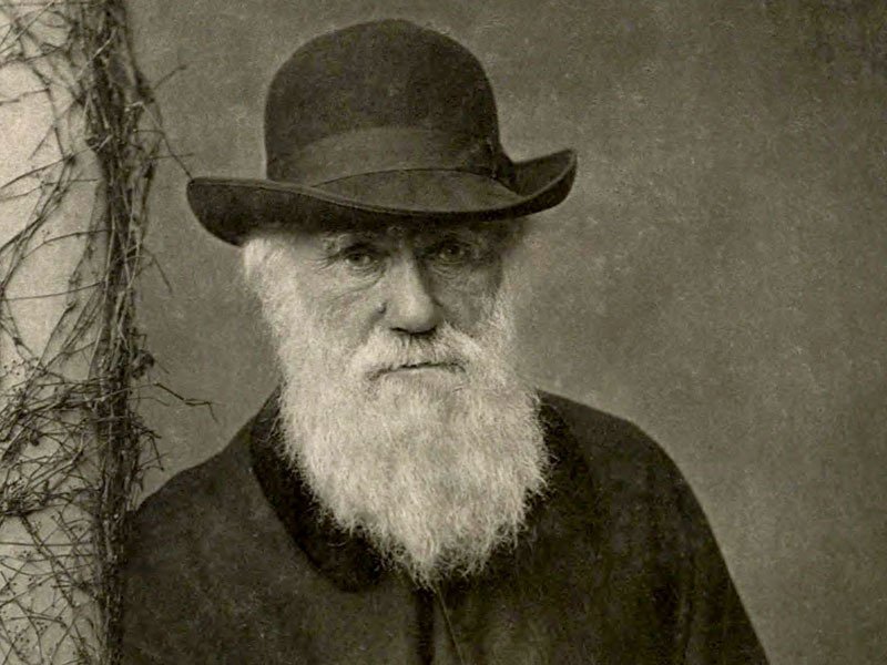 Medscape's tweet photo. How misinterpretations of Darwin's ideas may negatively impact medicine https://t.co/6zH5AXMKAA #DarwinDay https://t.co/CEGAtjf2C3