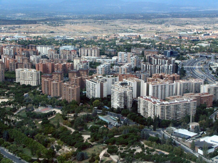 Agredida ciega Madrid bate entrar perro tienda  ideal 