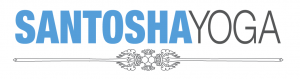 danlargo's tweet image. Leading a $5 drop-in class at Santosha Yoga in Westboro tomorrow (Saturday) at 4:30pm #getoutofthecold #alllevels